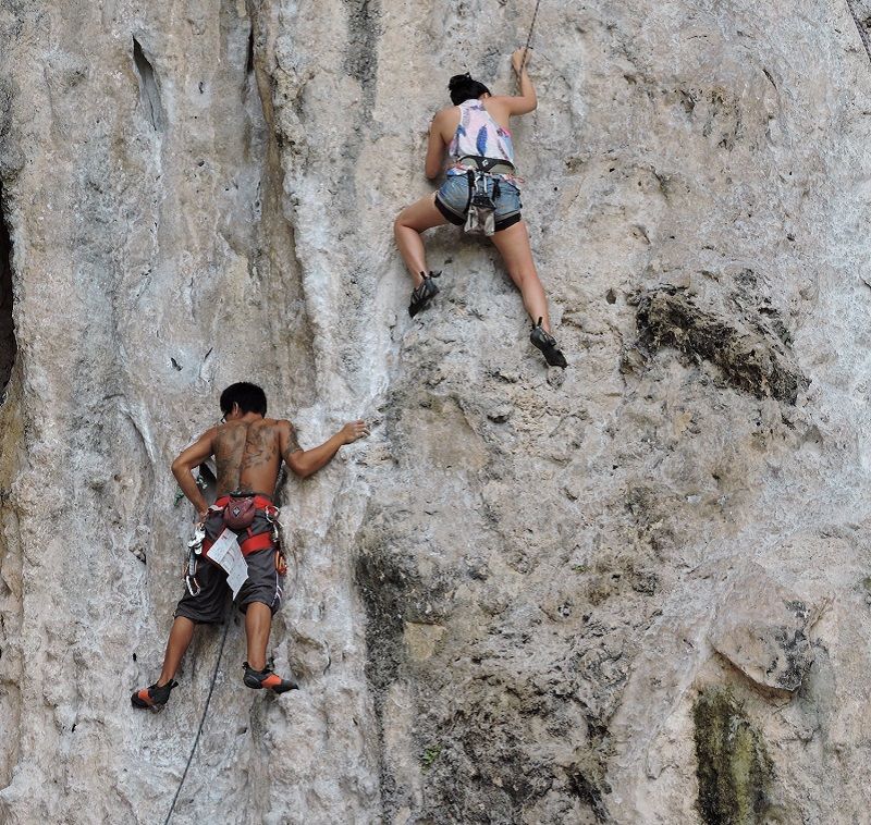 Krabi: Railay Plajında ​​Yarım Gün Kaya Tırmanışı 4,8 / 5  43 Yorum